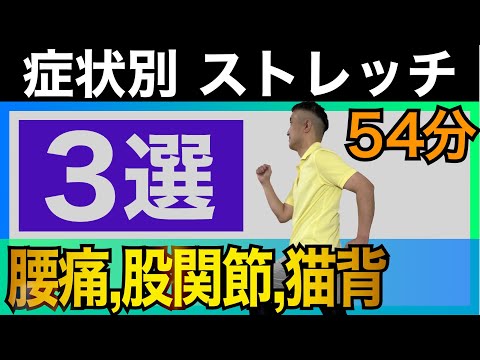 【ストレッチ３選】腰痛,股関節,猫背を改善します #ストレッチ #ラジオ体操 #radiotaiso