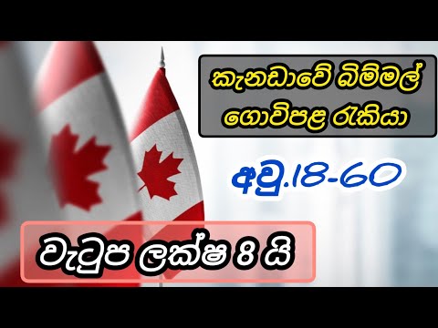 කැනඩා බිම්මල් ගොවිපළ රැකියා. නොමිලේ නවාතැන්. වැටුප් ලක්ෂ 8 යි mushroom farm foreign jobs in canada