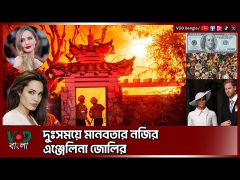 দুঃস/ময়ে মানবতার নজির এঞ্জেলিনা জোলির | Malificent | Anjelina | VOD News