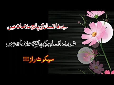 bewafa insan ki 5 neshani | shareef insan ki 5 neshani | golden words pak | pak voice