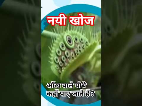 आँख वाले पौधे कहाँ पाए जाते हैं? | #kotacoaching #prasir #motionkota #kota #kotaeducation