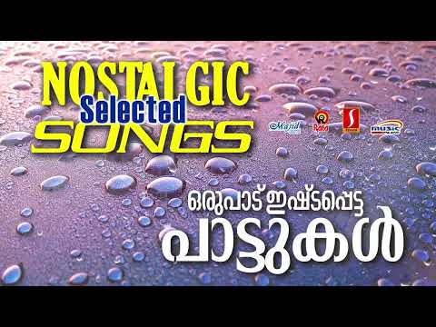 ഒരുപാട് ഇഷ്ടപ്പെട്ട പാട്ടുകൾ | K J Yesudas | Biju | P Jayachandran | Nostalgic malayalam moviesongs