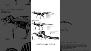 What Are The Largest Carnivorous Theropods?