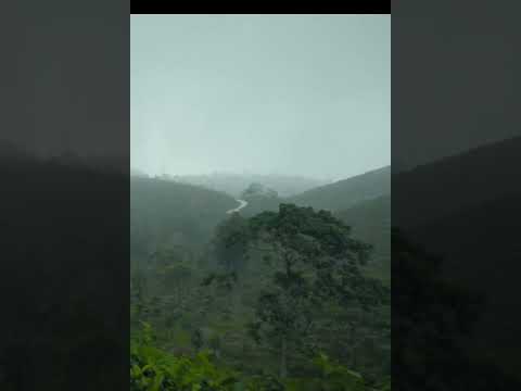 Rainy Day Walk in tea plantation #asmr #relax #munnartour #sleep #sleepsounds