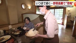 愛媛の消費者もトンカツ店も野菜高騰に悲鳴…安さと価格安定求める日々　６月に落ち着く予想も【愛媛】 (24/05/23 18:55)