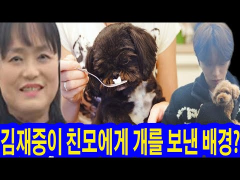 #편스토랑: 김재중이 친모에게 개를 보낸 배경? 숨겨진 메시지 공개!, 김재중 친모의 탐욕이 결국 폭발!이제 김재중 앞에 나타나지 않겠다? 현재 그의 생모와 그의 관계는 어떤가요?