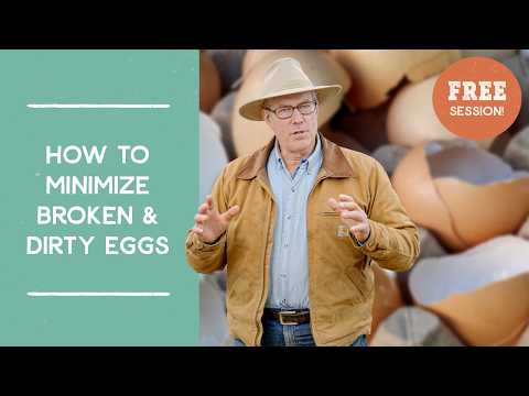 How to Reduce Broken & Dirty Eggs: Pasturing Laying Hens | Joel Salatin