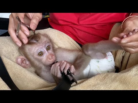 Adorable Baby Boy Sleep For Mom Cut nails Very Smart