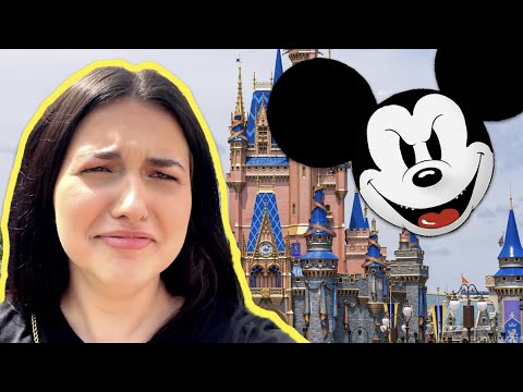 What Happened To Us At DisneyWorld!