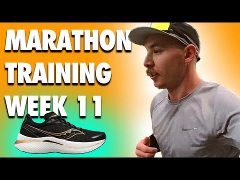 ENDORPHIN SPEED 3 = MARATHON TRAINING GOLD