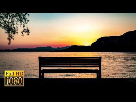 Relaxing Sleep Music •  Relaxing Music, Stress Relief, Meditation Music, Copyright Free music,