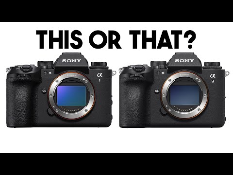 Are You Picking the Sony A1 II or Sony A9 III? My Thoughts