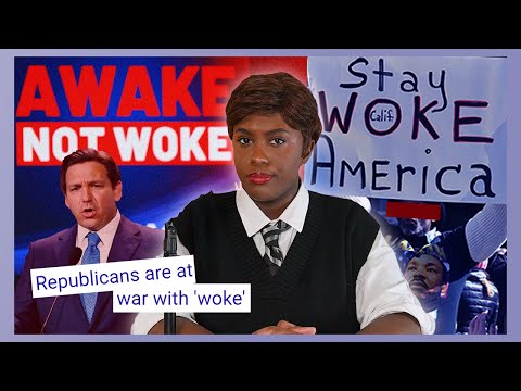 Dissecting the War on Woke | Part One