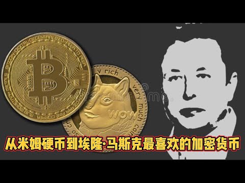 从米姆硬币到埃隆·马斯克最喜欢的加密货币 From meme coins to Elon Musk's favorite cryptocurrency