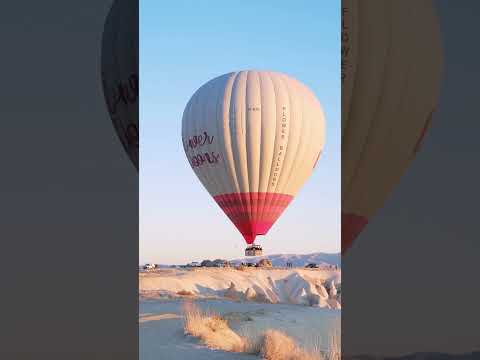 Adorable Floating Hot Air Balloon | $100k Bonuses in Description