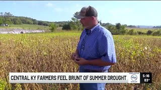 Central Kentucky farmers feel brunt of summer drought, anticipate financial impacts