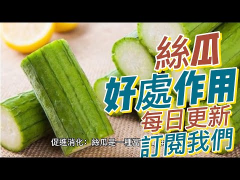 EP 194 絲瓜（Loofah）的好處與作用 促進消化 維持骨骼健康 促進免疫系統