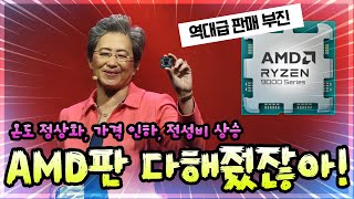 다해줬는데도 불구하고 '불도저' 이후 역대급 판매 부진에 빠진 AMD 신제품(RYZEN 9000 그래니트 릿지)