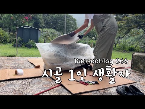 Korean summer country life vlog 266) The last heat wave