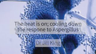 The heat is on; cooling down the response to Aspergillus