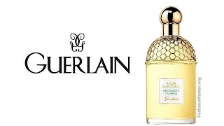 Guerlain Aqua Allegoria Bergamote Calabria Fragrance