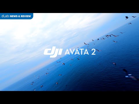 DJI AVATA 2 Flight Demonstration【Drone FreeStyle Split-S Power Loop】