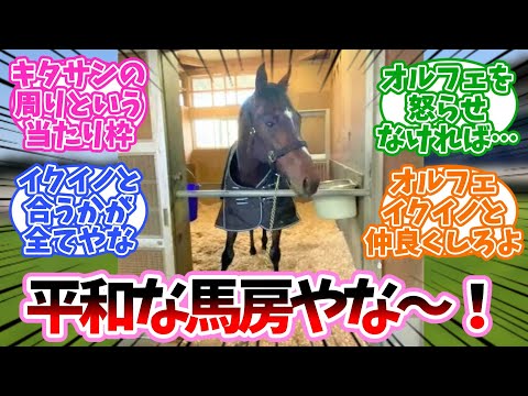 おどう馬房に対するみんなの反応集【競馬】