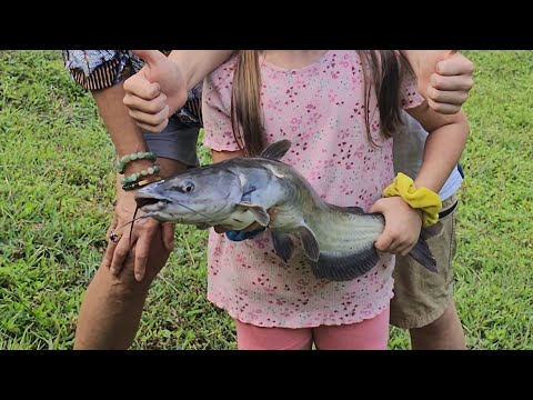 Our fishing and hand feeding ducks' adventures. 🎣 #Fishing #DuckFeeding #Outdoors #Nature #Adventure