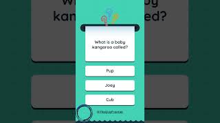 Mind Blowing Animal Facts Quiz! #EducationalShorts #AnimalFactsQuiz #animalkingdom