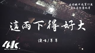 羊羊 - 這雨下得好大『這雨下得好大 我拼命的掙扎，不願再聽你說的那些謊話。』【高音質|動態歌詞Lyrics】♫