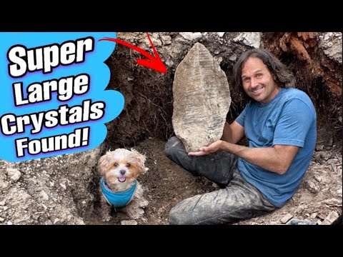 GIANT Smoky Quartz Crystal Discovery in Montana!