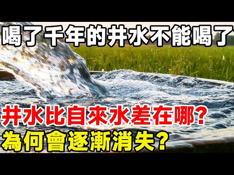 喝了千年的井水不能喝了？ 井水比自來水差在哪？ 為何會逐漸消失？#科普頻道 #科普