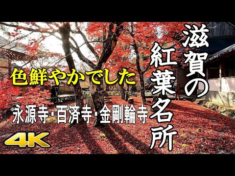 【4K 滋賀の紅葉名所🍁】永源寺･百済寺･金剛輪寺