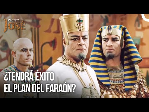 Envíen a los Sacerdotes del Templo a la Prisión | Diarios Del Palacio #17