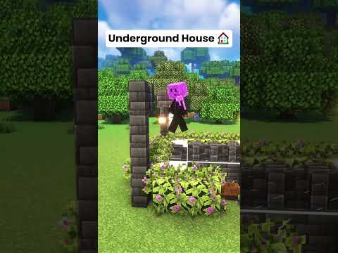 Minecraft Underground House 🏠 #shorts