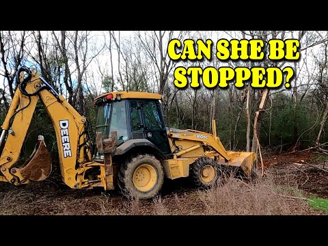 THERE WAS NO STOPPING HER TILL NOW!! farm, tiny house, homesteading, RV life, RV living|