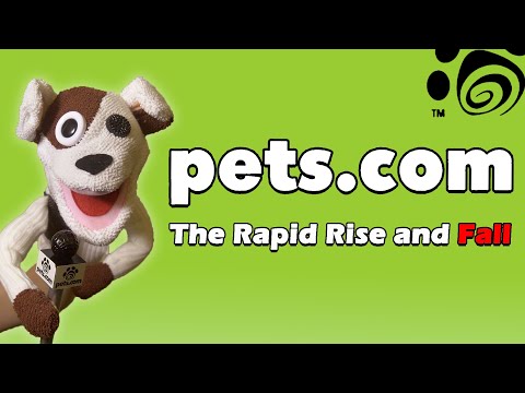 Pets.com - The Rapid Rise and Fall