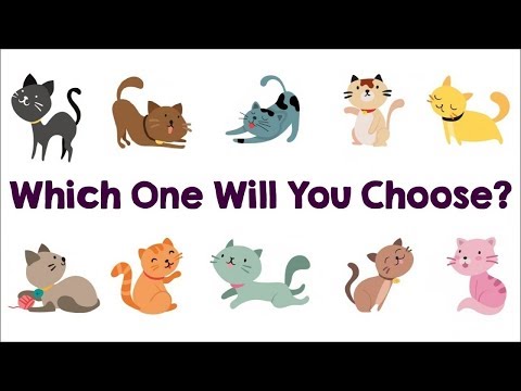 The Cat You Pick Will Reveal Your True Personality