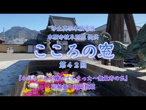 こころの窓　第42回『ネコちゃんを轢いてしまった～無量寿の仏～』2023年12月17日放送分【稲岡教順】