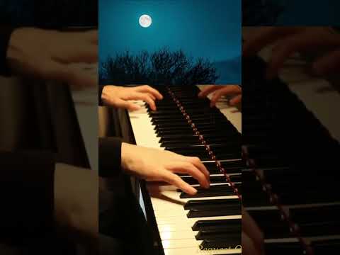 Sonata No.14, 'Moonlight' -月光 Beethoven -ベートーヴェン 2023/12/16 -01 #Piano #ピアノ #shorts