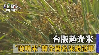 【TVBS】台版越光米「鹿鳴米」　奪全國名米總冠軍