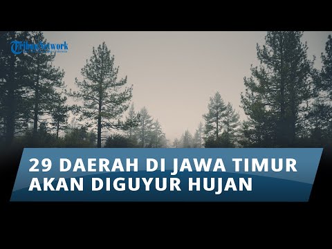 Prakiraan Cuaca di Jawa Timur pada Hari Jum'at, 17 Januari 2025