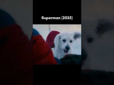 Evolution of KRYPTO in Live Action (2005-2025) #superman #dog #shorts