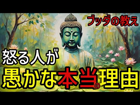 【ブッダの教え】怒る人が愚かな理由！2500年前から伝わる仏教の瞑想や無常の教え、そして慈悲の心。