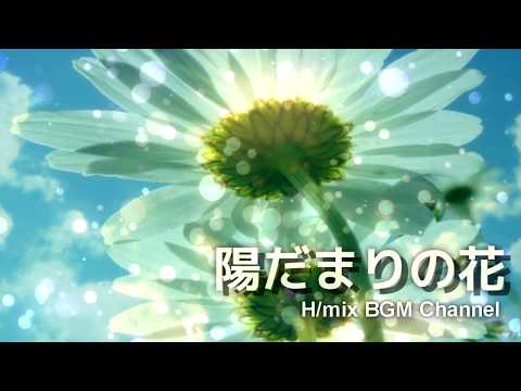 【癒しのBGM】陽だまりの花