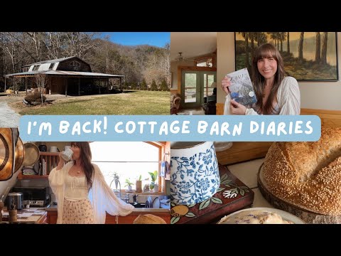 I’m back! An update from the cottage barn 🧺🕊️Cottagecore, Slow Living, Simple Life, Country Living