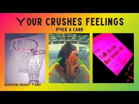 pick a card | your crushes feelings 💕