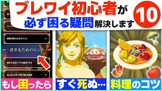 [超基本] 始める前に知りたかった！これからはじめるブレワイの超基本１０選 [ゼルダの伝説 ブレスオブザワイルド]