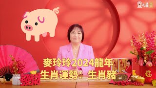 麦玲玲：2024龙年生肖猪的整体运势