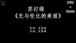 苏打绿Sodagreen-无与伦比的美丽 [拼音+歌词PinYin+Lyrics]